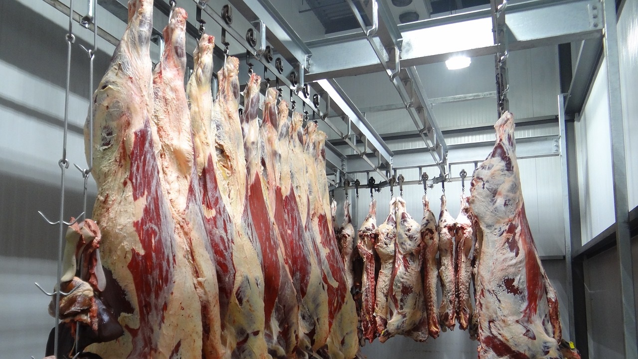 Congress Broke the Meat Supply Chain 50 Years Ago